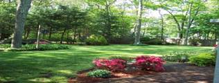 picture of garden